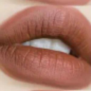 Magic Casa's Chocolate liquid matte Lipstick